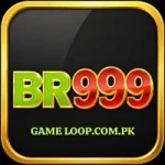 BR999 Game