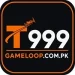 T999 Game