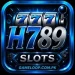 H789 Game